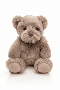 Classic Teddy Bear